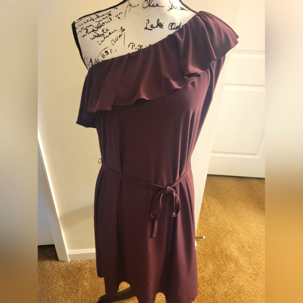 Kenneth Cole ~ Asymmetrical One Shoulder Ruffle Dress - Picture 4 of 5